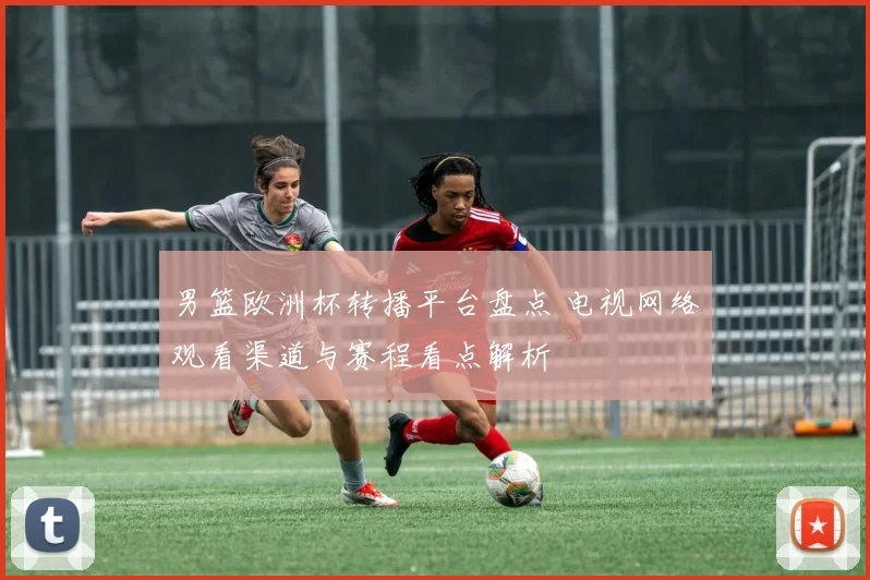 男篮欧洲杯转播平台盘点 电视网络观看渠道与赛程看点解析