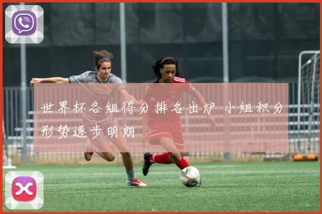 世界杯各组得分排名出炉 小组积分形势逐步明朗