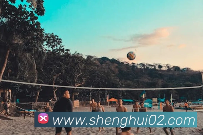 完美体育官网服务体系